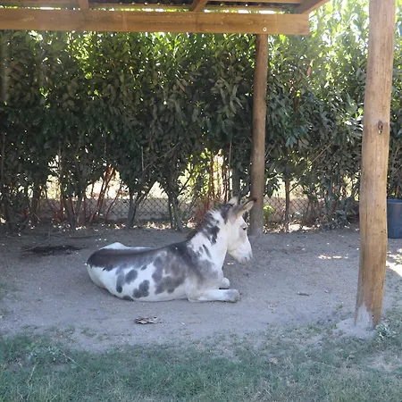 Holiday park Duas Areal