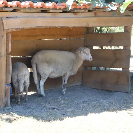 Duas Areal 假日公园 吉马良斯