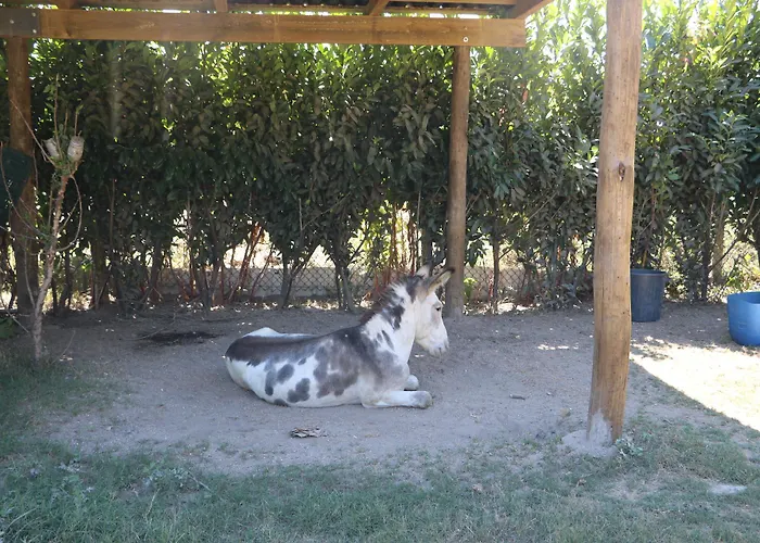 Parque de vacaciones Duas Areal