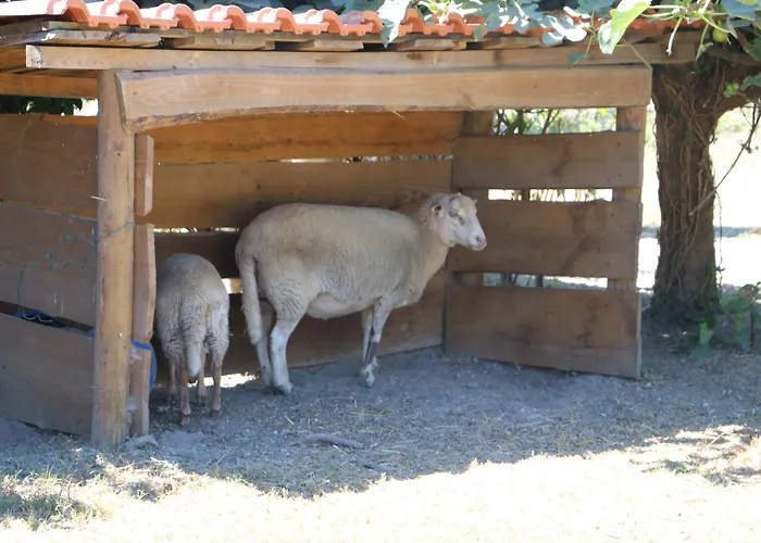 Duas Areal Parco vacanze Guimarães