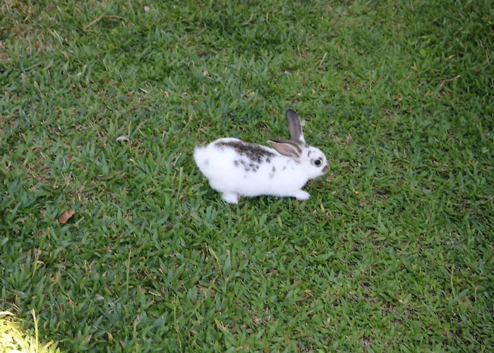 Duas Areal Parque de vacaciones